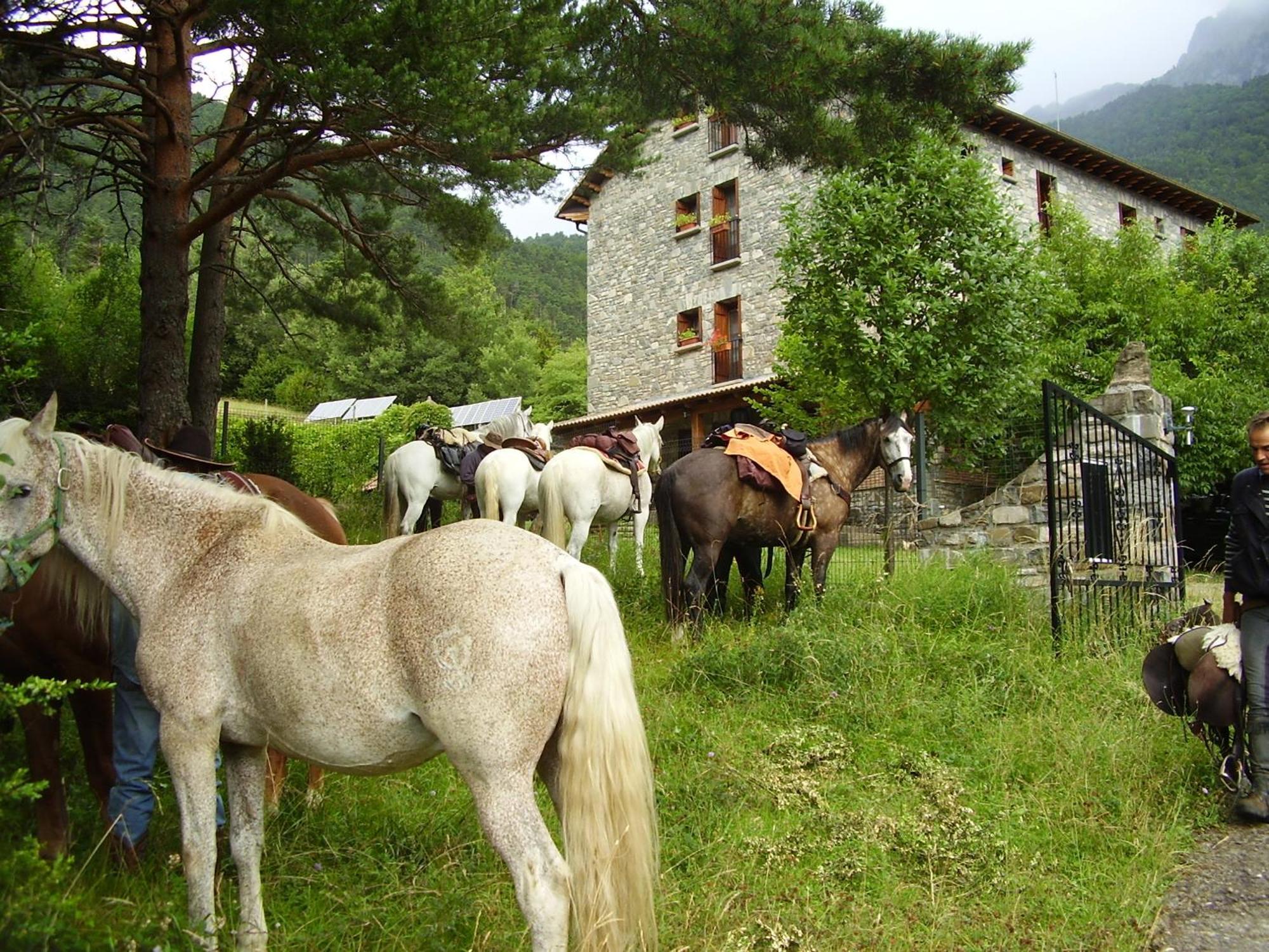 Hotel De Montana Uson Hecho Buitenkant foto